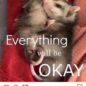 Meet your Posher, Binx